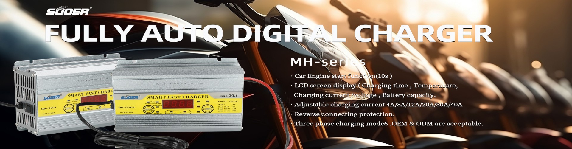 Foshan Suoer Electronic Industry Co.,Ltd. 
