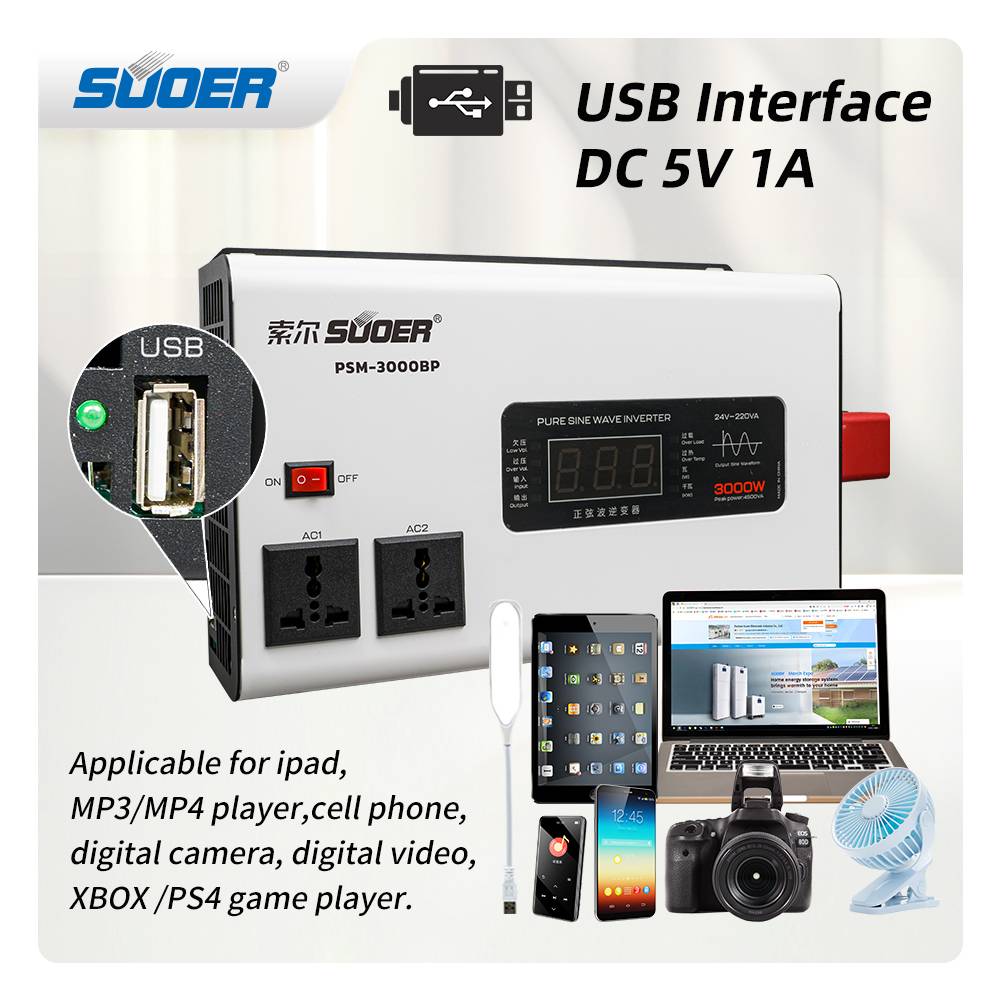 Sine Wave Inverter - PSM-3000BP